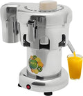 Extracteur de jus, 370 W, industriel, professionnel, acier inoxydable
